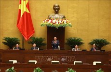 越南第十五届国会第五次会议间隙：立即化解困难 促进经济复苏
