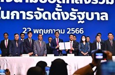 泰国8个政党就组建联合政府签署谅解备忘录