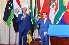 越南外交部副部长何金玉出席2023年非洲日纪念仪式