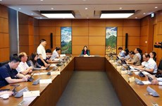 越南第15届国会第5次会议：国会就社会经济报告进行分组讨论