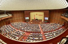 越南第十五届国会第五次会议：讨论选民请愿处理监督结果
