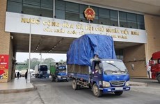 越南通过老街国际口岸向中国出口5400吨荔枝