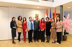  加强越南妇联与旅居荷兰越侨妇女之间的关系