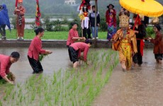 越南文化：旅游业发展的内在动力