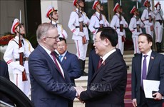 越南国会主席王廷惠会见澳大利亚总理安东尼·阿尔巴尼斯