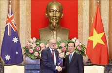 越南国家主席武文赏会见澳大利亚总理安东尼·阿尔巴尼斯