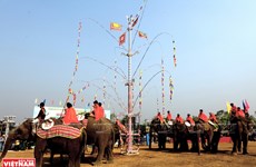 多乐省独特的为大象健康祭祀仪式 