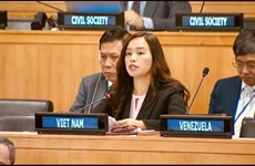 越南：全球弹药管理框架必须符合国际法和《联合国宪章》的基本原则