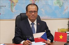 越南驻捷克大使：裴青山外长访问捷克证实越南与捷克关系的积极发展