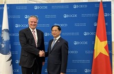 OECD愿为越南促进经济绿色和可持续发展提供支持