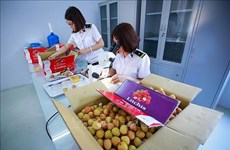 越南第十五届国会第五次会议：力争在北部建立出口水果辐照处理中心