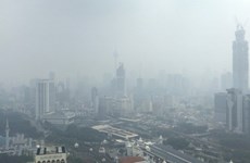 东南亚国家合作抗击雾霾污染