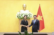 越南与韩国促进贸易领域合作
