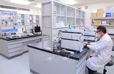 旅居日本的越南科学家跻身Research.com 顶级科学家排名榜