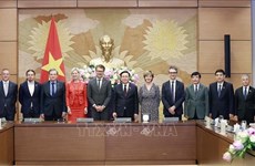 越南国会主席王廷惠会见欧洲议会代表团