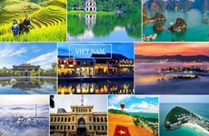 谷歌：越南旅游搜索量位居世界7位