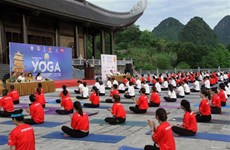 第九届国际瑜伽日：带来生活质量的新价值