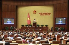 越南第十五届国会第五次会议新闻公报（第二十号）