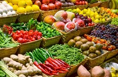越南蔬果出口形势积极回升