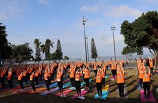 巴地头顿省国际瑜伽日活动吸引近千人参加