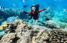 越南5个最具吸引力的潜水胜地