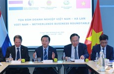 越南与荷兰建交50周年：推动双边关系实质性有效发展 