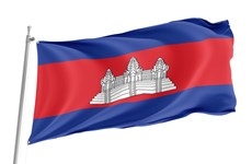 越共中央委员会致电祝贺柬埔寨人民党成立72周年