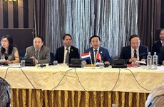 越南与荷兰政府间适应气候变化与水资源管理合作委员会第八次会议举行