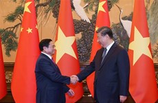 许利平教授：加强政治互信 提升越南国际形象
