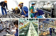 越南需培养满足各行业和领域需求的高素质人力资源