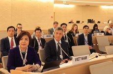 越南促进国际对话与合作确保人权   应对全球挑战