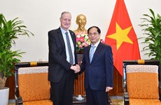 越南外交部部长裴青山会见以色列驻越大使