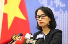 越南外交部例行记者会：及时为受法国骚乱影响的越南公民提供保护