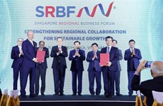 经济是推动越南与新加坡关系迈上新台阶的动力