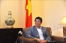 阮海鹏大使：越南在第56届东盟外长会议推动地区内的团结和共识 