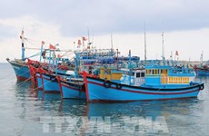 越南严厉打击非法、不报告和不管制捕捞行为