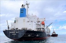 平顺省罗迤海域搁浅的巴拿马籍货船得到成功救援