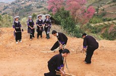 安沛省木江界县致力保护与弘扬芦笙文化价值 