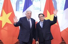 越南领导人向法国领导人致国庆贺电 