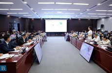 岘港市与日本加强贸易与投资合作