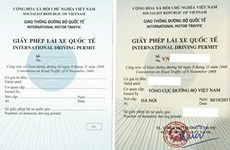 越南与韩国互认国际驾驶执照