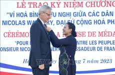 法国驻越大使荣获“致力于各民族和平与友谊”纪念章