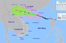 越南集中精力应对超强台风“泰利”