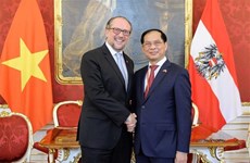 越南外交部长裴青山会见奥地利外长沙伦贝格