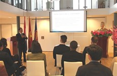 越南向海牙国际法学院学员介绍越南外交政策