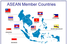 越南加入东盟28周年：马来西亚专家强调越南确保地区和平与稳定的作用