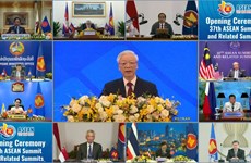 越南加入东盟28周年：携手共创团结强大繁荣的共同体