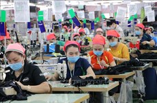 2023年前7月越南全国新设企业增长0.2%