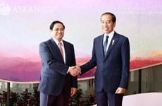 越南深化与印尼的战略伙伴关系