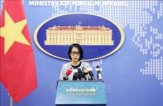 外交部例行记者会：谴责在菲律宾侮辱越南国旗行为